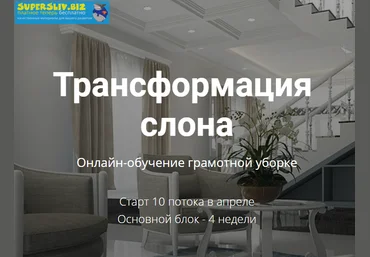 Татьяна Красильникова Онлайн-обучение грамотной уборке 2019 слив