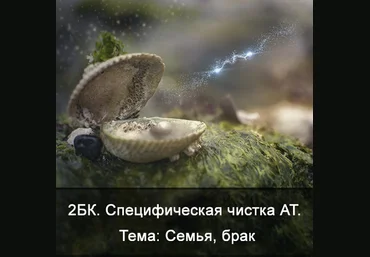 Ксения Меньшикова 2БК Специфическая чистка астрального тела. Тема - семья, брак 2021 слив