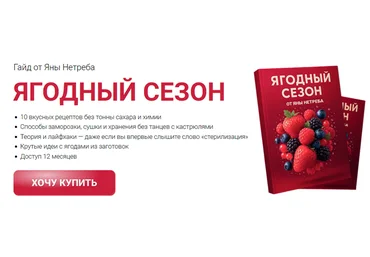 Яна Нетреба Labfood Гайд Ягодный сезон 2025 слив