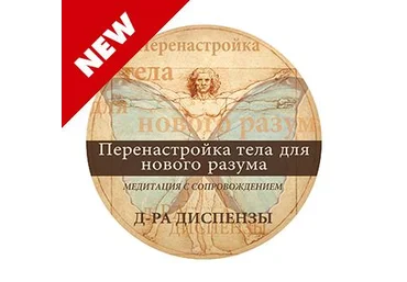 Джо Диспенза Медитация: Перенастройка тела для нового разума слив