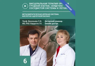 Людмила Васильева, Глеб Кирдогло Семинар №6. Метасимпатическая нервная система 2024 слив