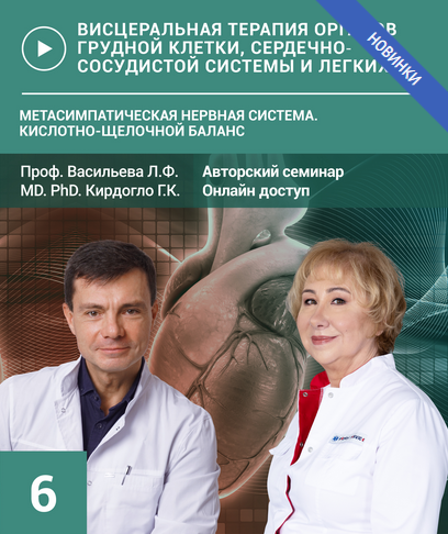 Людмила Васильева, Глеб Кирдогло Семинар №6. Метасимпатическая нервная система 2024 слив курса