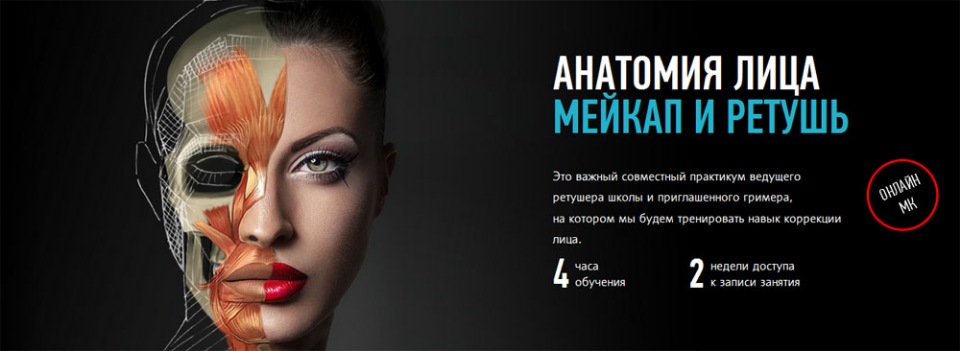 profileschool Анатомия лица. Мейкап и ретушь слив курса