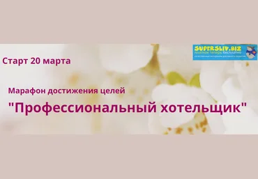 Мария Денисова Профессиональный хотельщик 2020 скачать слив