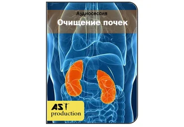 Очищение почек - AST production 2017 слив