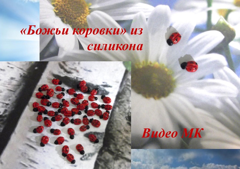 Божьи коровки из силикона - Мирсанова 2016 слив курса