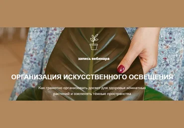 Наталья Серова Организация искусственного освещения 2022 слив